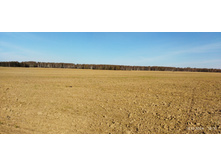 IMG 20241013 123119.jpg