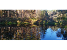 IMG 20241013 121223.jpg