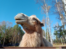 20241013 ��������� ��������� 115544.jpg