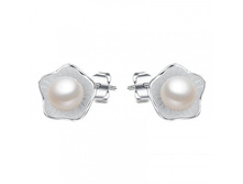 ������-�������� "��������", Crystal Shik - 374 ���.