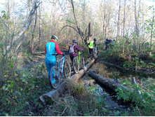 20241013 ��������� ��������� 150825.jpg