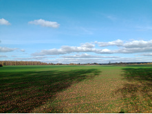 20241006 ������-������ ������� 142124.jpg