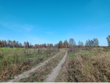 20241013 ��������� ��������� 132635.jpg