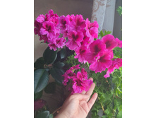 ������� �� 1 � . ������� ����������