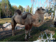 20241013 ��������� ��������� 115841.jpg