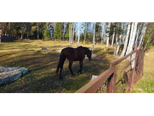 IMG 20241013 114913 1.jpg