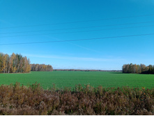 20241006 ������-������ ������� 111142.jpg