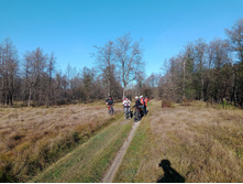 20241013 ��������� ��������� 141400.jpg