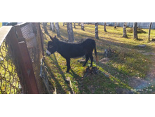 IMG 20241013 114950 1.jpg