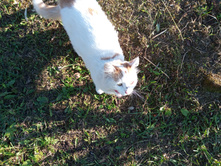 20241013 ��������� ��������� 142004.jpg