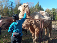 20241013 ��������� ��������� 115204.jpg