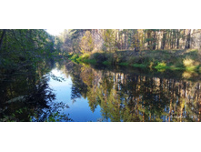 IMG 20241013 121219.jpg