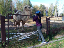 20241013 ��������� ��������� 120115.jpg