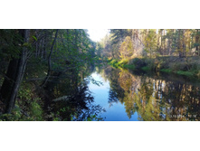 IMG 20241013 121235.jpg