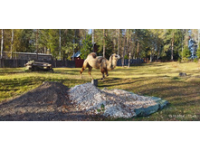 IMG 20241013 114933.jpg