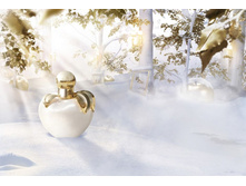 NINA RICCI Nina Snow Princess 80��