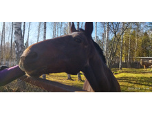 IMG 20241013 114838 1.jpg