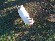 20241013 ��������� ��������� 142005.jpg