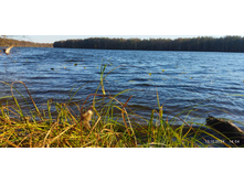 IMG 20241013 145453 1.jpg