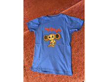 �������� ��������� 255 ���.