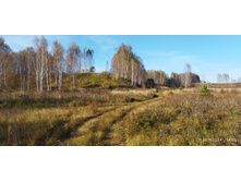 IMG 20241013 143337.jpg