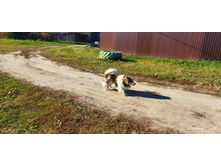 IMG 20241013 112205 1.jpg