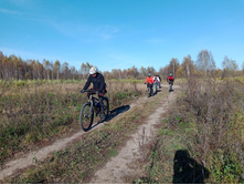 20241013 ��������� ��������� 133011.jpg