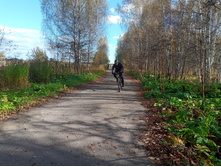 20241006 ������-������ ������� 120345.jpg