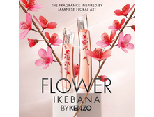Flower Ikebana Kenzo � � 75 �� 5630+%+����