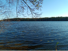 20241013 ��������� ��������� 150457.jpg