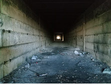 20241013 ��������� ��������� 110407.jpg