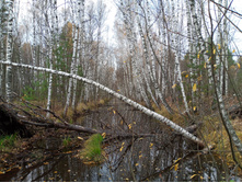 20241026 ��-��������� �������� 110816.jpg