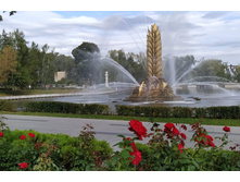 IMG 20240911 145317.jpg