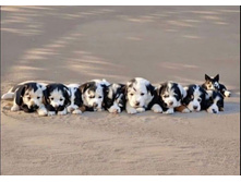 Photo 2024-10-31 12-08-14.jpg