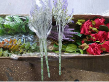 IMG 20241129 085904 013.jpg