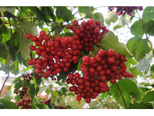 IMG 20240910 151206.jpg