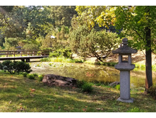 IMG 20240911 134528.jpg