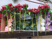 IMG 20241129 085904 255.jpg