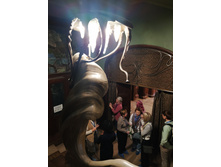 IMG 20241116 143145.jpg