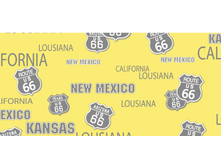 ���� ��������� ����.