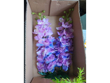 IMG 20241129 085904 181.jpg