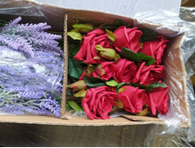 IMG 20241129 085904 882.jpg