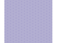 ����� «�������� 7», �����, 220 ��.jpg