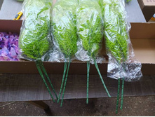 IMG 20241129 085904 822.jpg