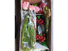 IMG 20241129 085904 046.jpg