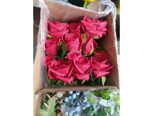 IMG 20241129 085904 290.jpg