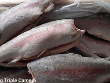 ������ 1,3-1,8 ������ ����� 2024 ���� 1190 ��� �� ��.jpg