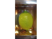 IMG 20241110 210542.jpg