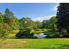 IMG 20240911 132556.jpg