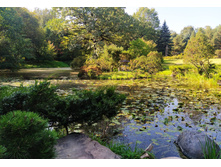 IMG 20240911 134330.jpg